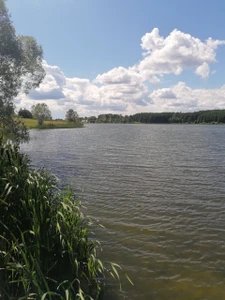 Пляж (Пляж)