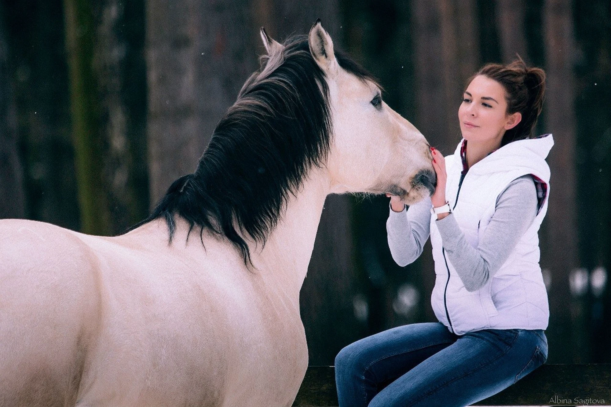 Белый конь (Конный клуб)