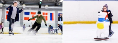 Ледовая арена Альбатрос (Каток )