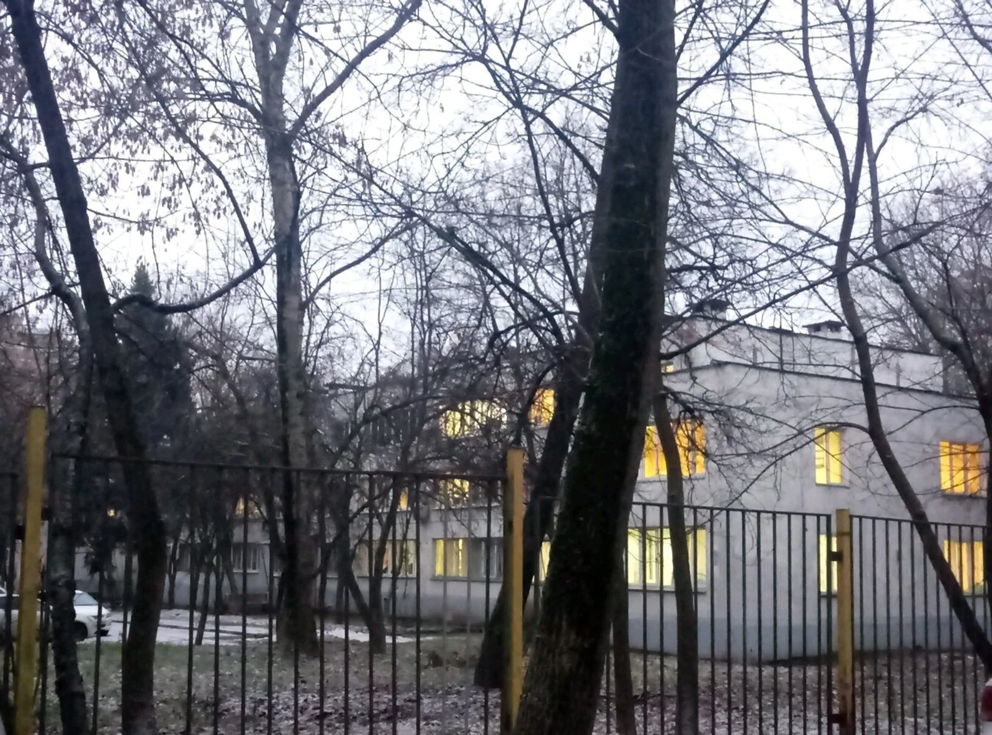 Центр коррекции речи Педагогика и психология развития (Логопеды )