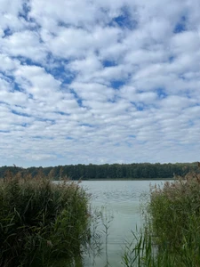 База отдыха Кусторка (Дом отдыха )