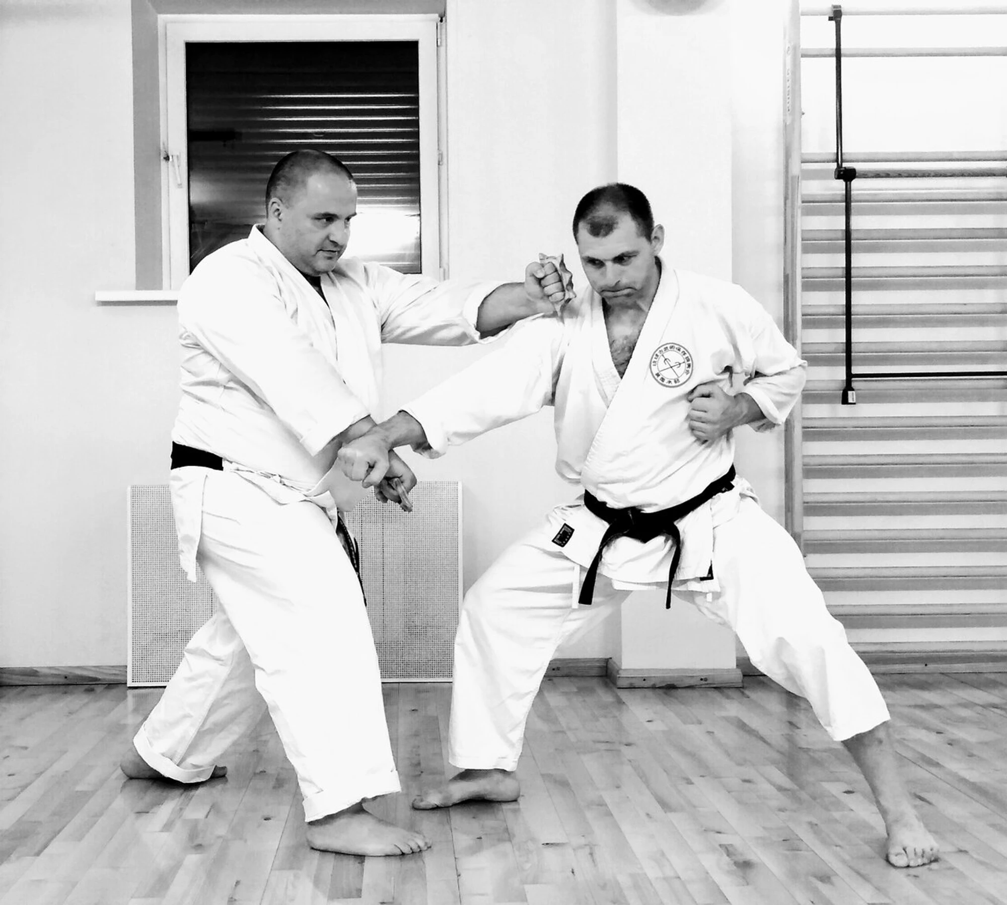 Клуб восточных единоборств Алмаз (Спортивный клуб, секция)