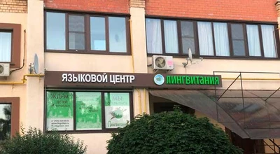 Лингвитания (Курсы иностранных языков )