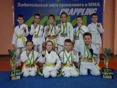 Кэмпо Витязи Mma Gi NoGI (Спортивный клуб, секция )