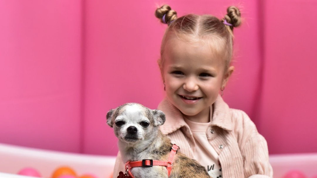 Пикник Pets&Friends для питомцев и их владельцев во Vnukovo Outlet Village