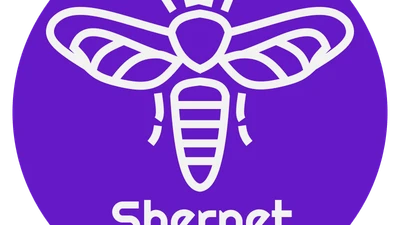 Агентство контекстной рекламы и разработки сайтов "Shernet"