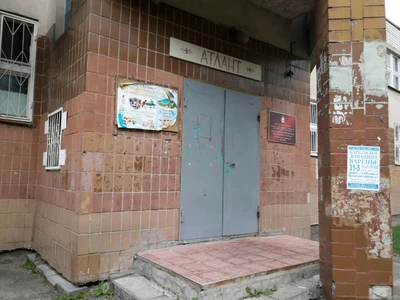 Студия изобразительного искусства (Спортивный клуб, секция )