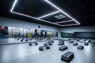 Pluzhnik fitness (Фитнес-клуб )