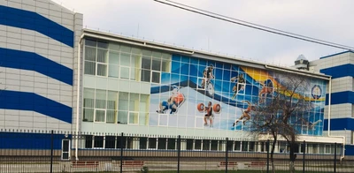 Футбольная школа Чемпионика (Спортивный клуб, секция )