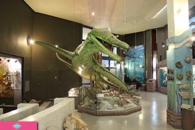 Самарский областной историко-краеведческий музей им. П.В. Алабина, Музей Алабина 