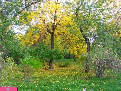 Детский городской парк, Горсад, Волгоград