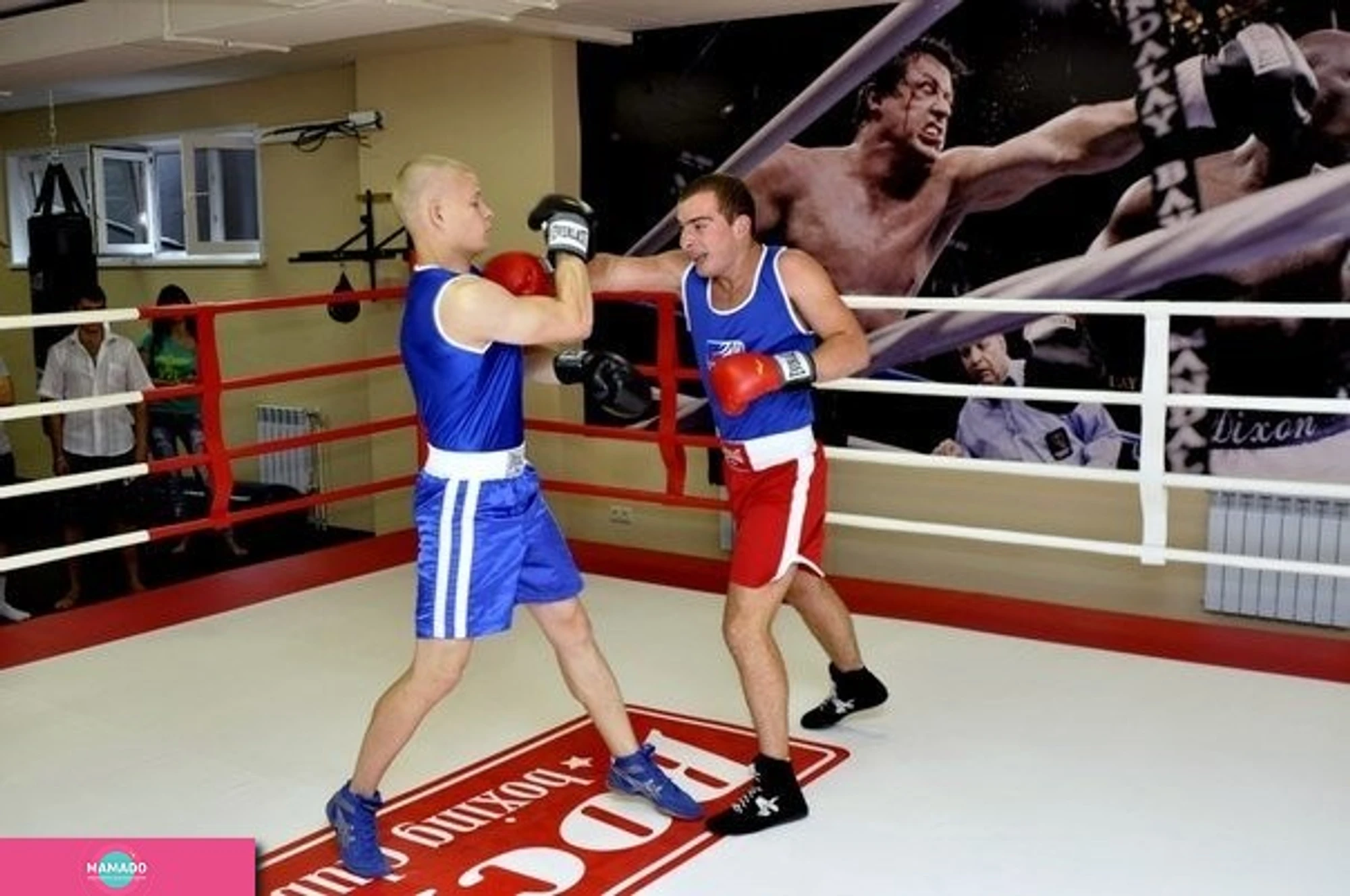 Rocky, боксерский клуб, Новосибирск 