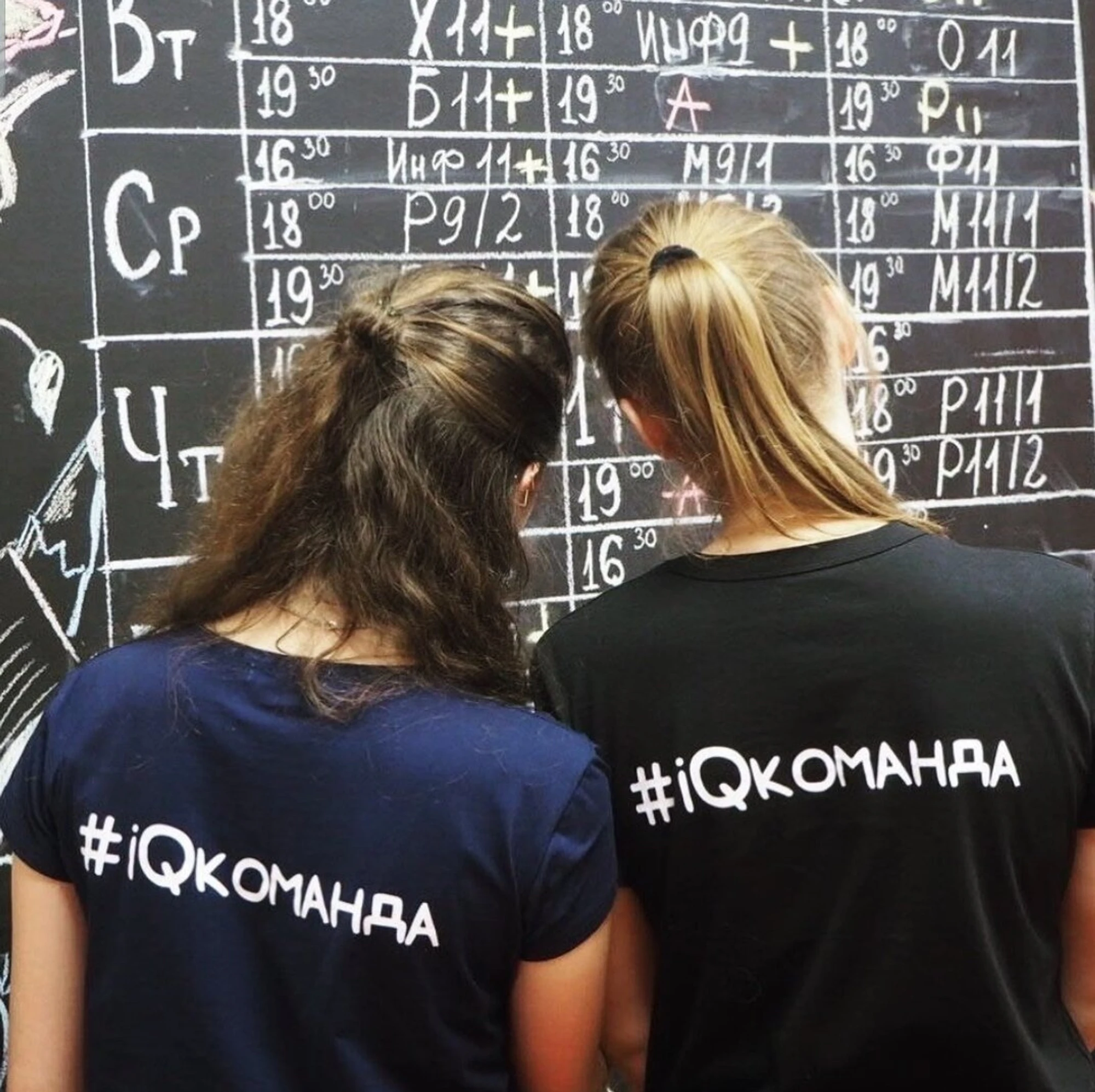 IQ-центр курсы ЕГЭ и ОГЭ (Услуги репетиторов)