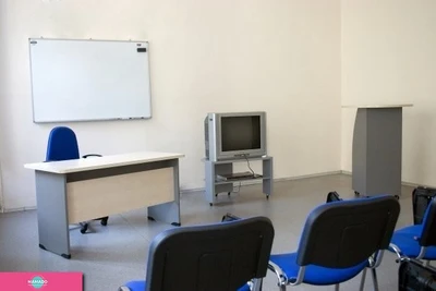 Viva Lingua Plus ("Вива Лингва +"), школа иностранных языков, английский язык для детей на Невском, СПб