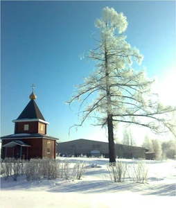 Церковь Покрова Пресвятой Богородицы (Православный храм)