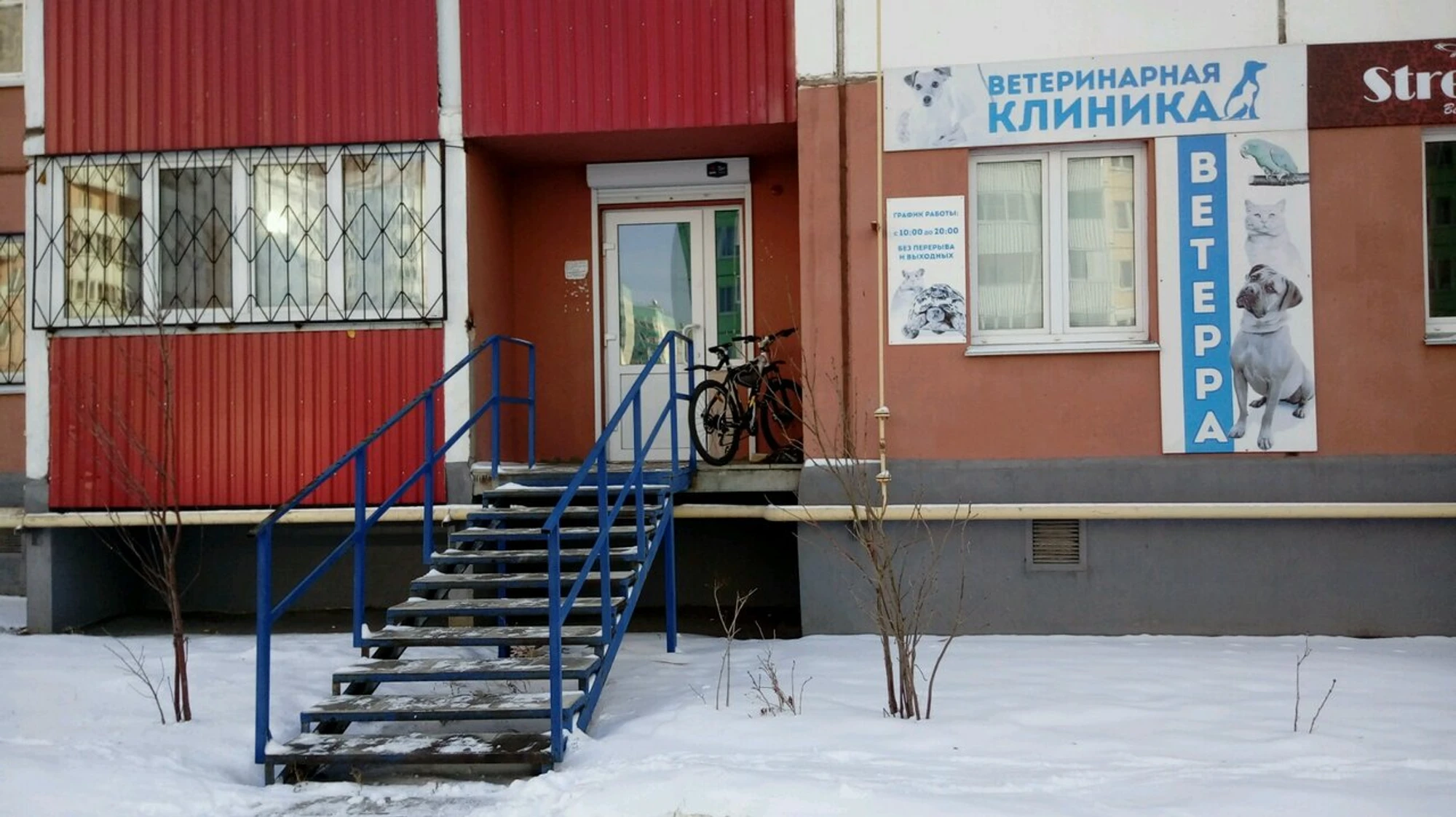 Ветерра (Ветеринарная клиника )