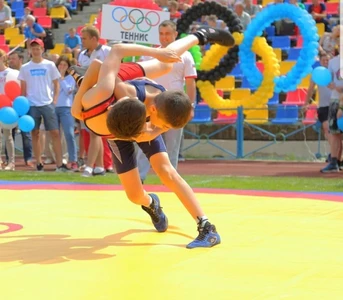 Греко-римская борьба (Спортивная школа )