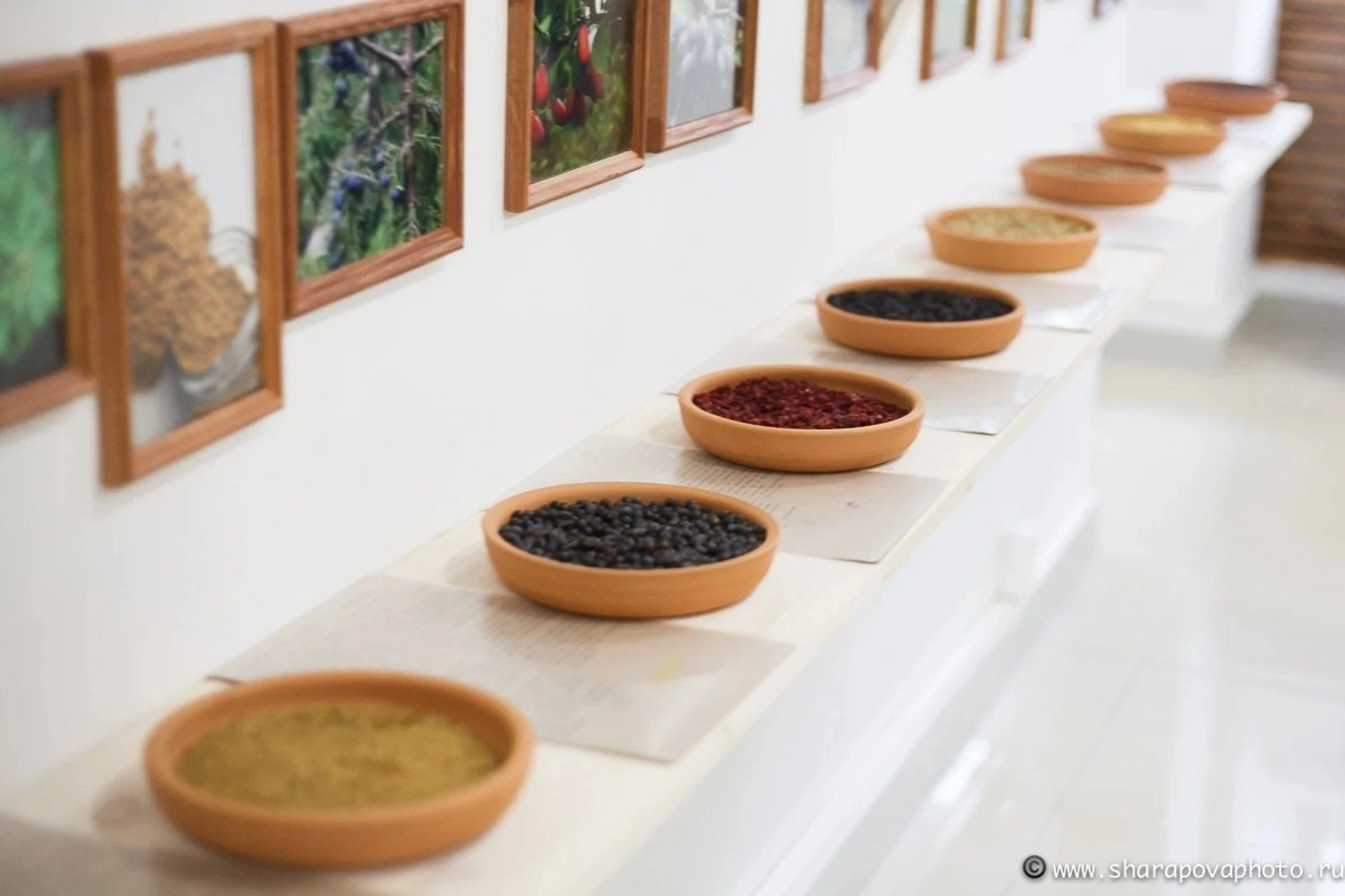 Фото:&nbsp;vk.com/spicemuseum