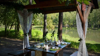 Эко-парк в Академическом на Чемоданчике