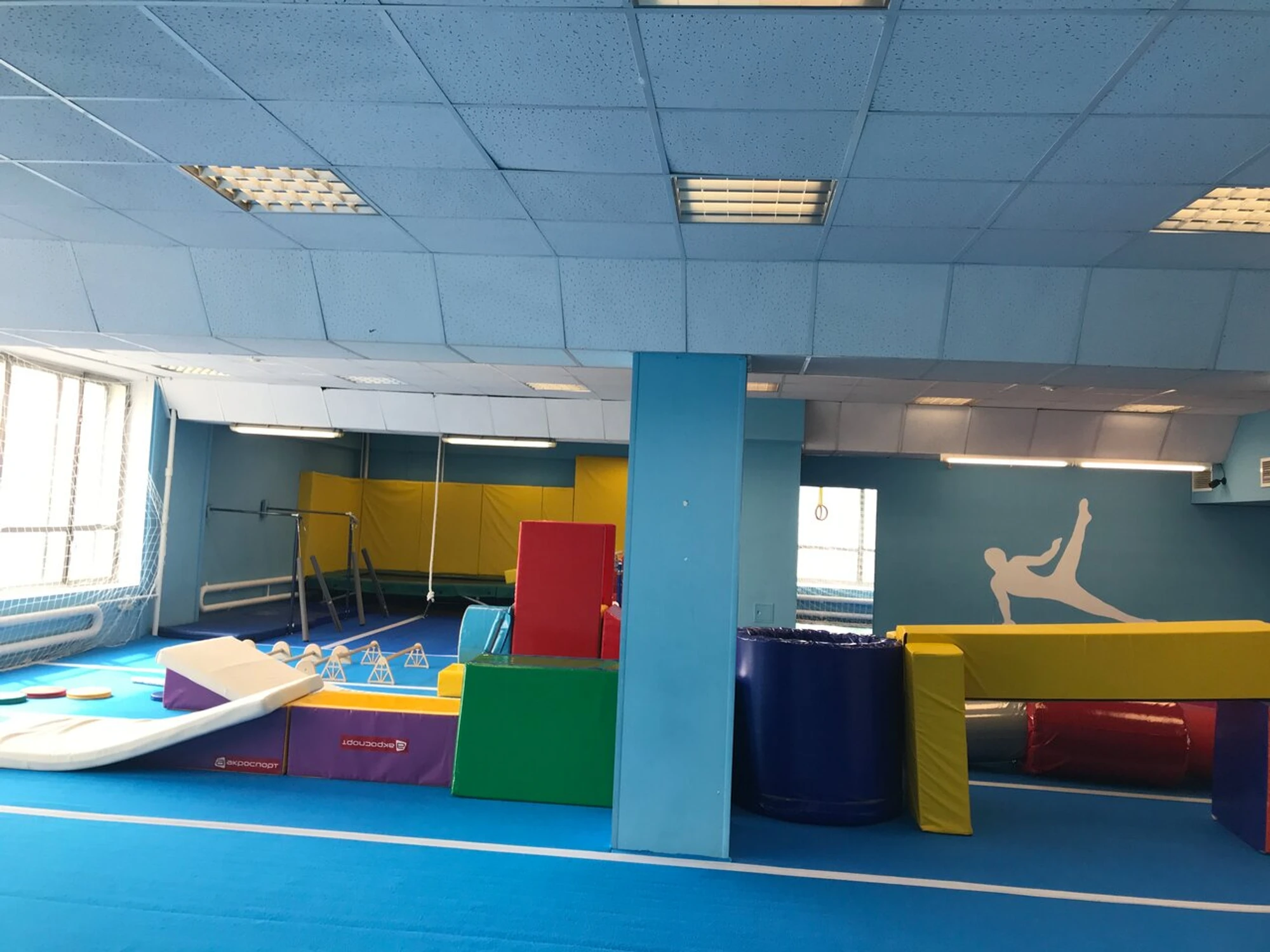 TimGym (Спортивный клуб, секция )