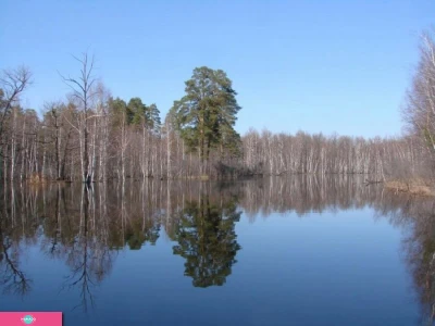 Окский заповедник, музей, Рязанская область 
