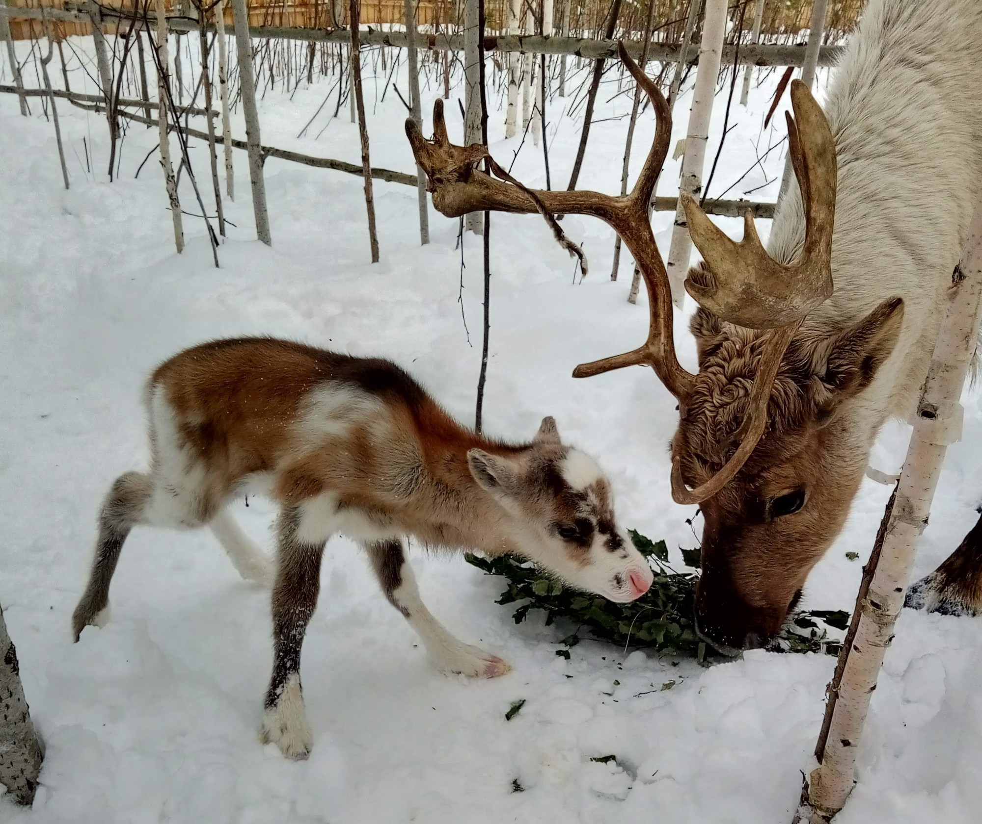 Изображение галлереи