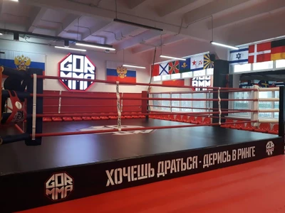 Клуб единоборств Gor_mma (Спортивный клуб, секция )