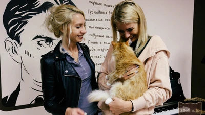 Укотовление кота в котокафе "Soulmate"