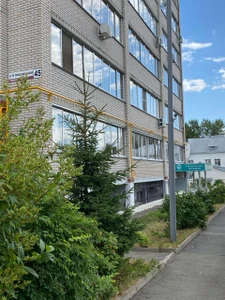 Эйва (Стоматологические материалы и оборудование )