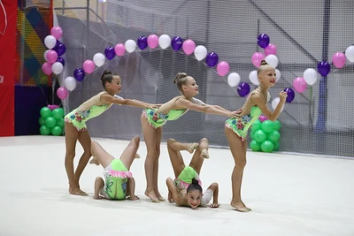 Школа художественной гимнастики ФСО Спартак (Спортивный клуб, секция)