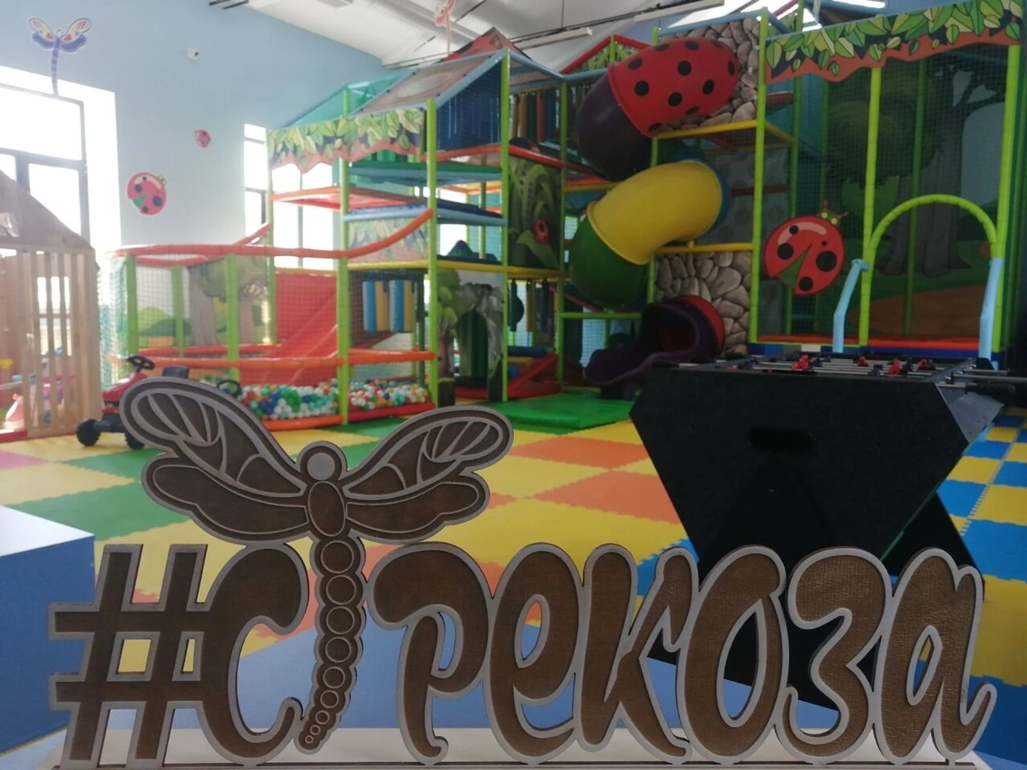 Стрекоза (Кафе )