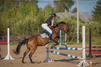 "Кони-Пони" - Конный клуб