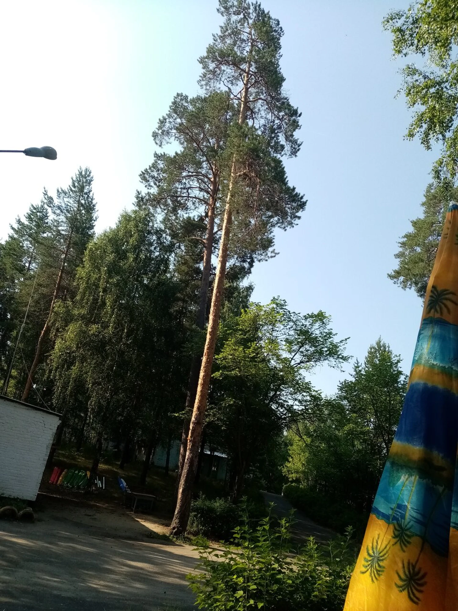 Детский Оздоровительно-образовательный центр Энергетик (Детский лагерь отдыха )