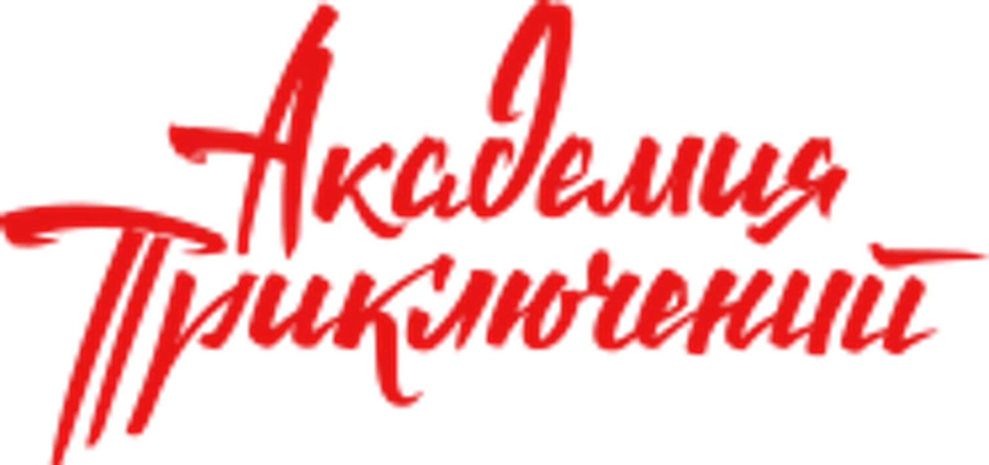 Академия Приключений, компания праздничных услуг