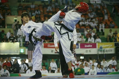 Спортивно-профессиональный клуб Таэквон-ДО Итф (Спортивный клуб, секция )