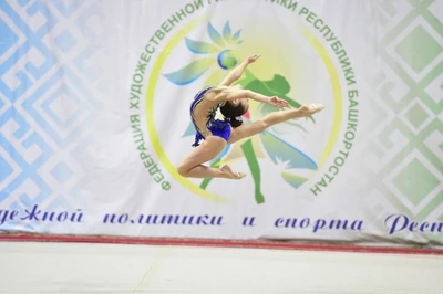 СК Виктория, художественная гимнастика (Спортивный клуб, секция )