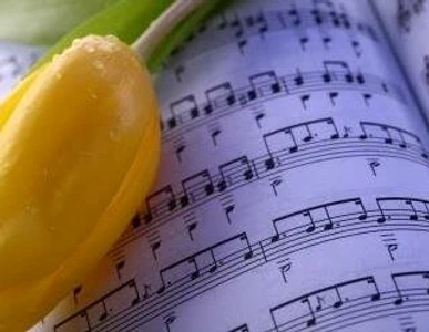 Мбо ДО Мамоновская ДШИ Фантазия (Дополнительное образование )