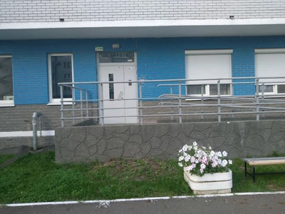 Olly studio (Студия дизайна)