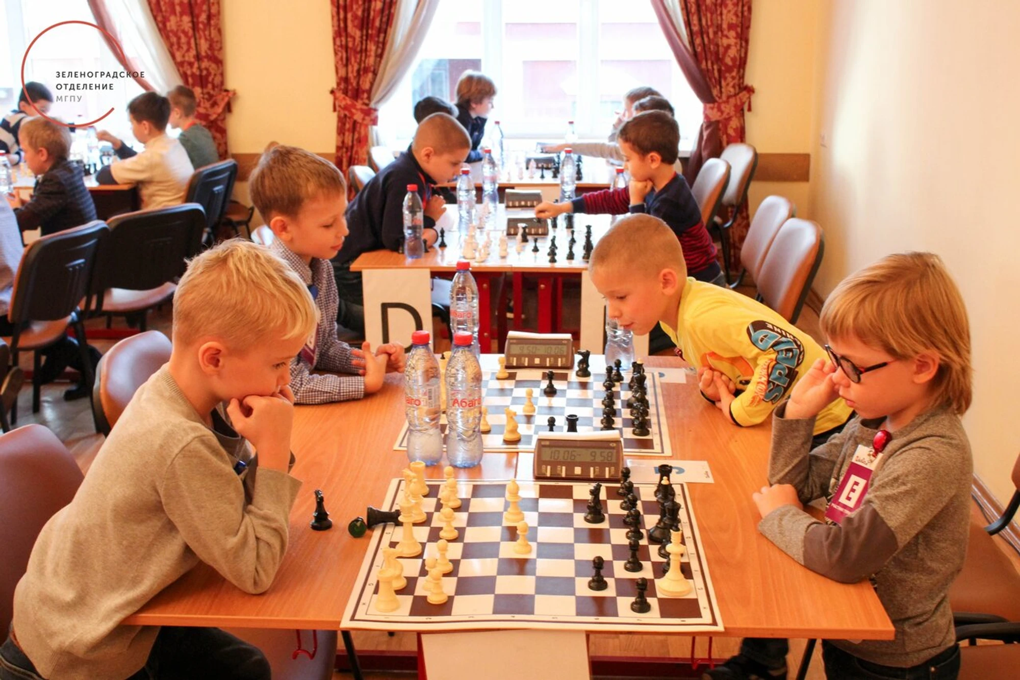 Школа шахмат EduChess , индивидуальные и групповые занятия для детей и взрослых