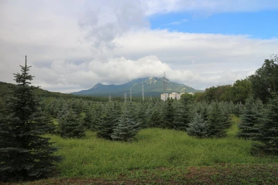 Перкальский дендрологический парк
