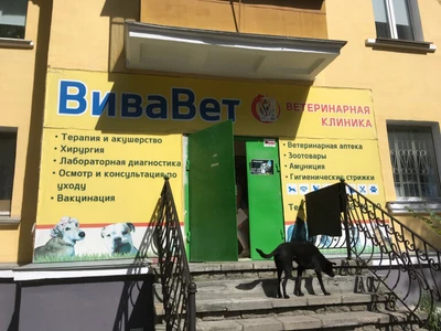 Вивавет (Ветеринарная клиника )