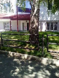 Кафе Дарьюшка (Кафе)