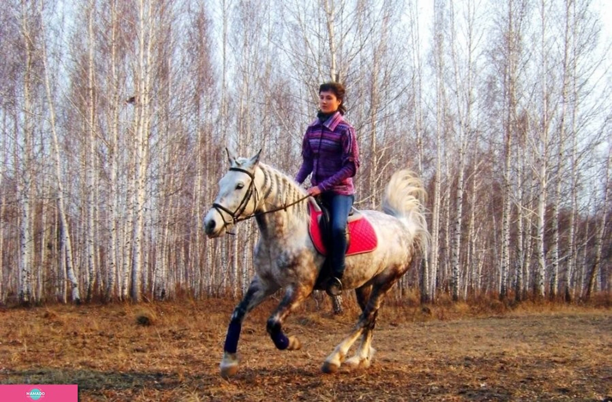 "Велес", конно-спортивный клуб в поселке Северный, Новосибирск 