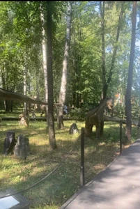 Динолэнд (Парк аттракционов)
