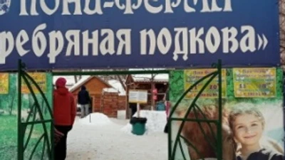 Серебряная подкова пони-клуб
