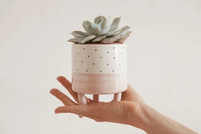 Dual (Курсы и мастер-классы)