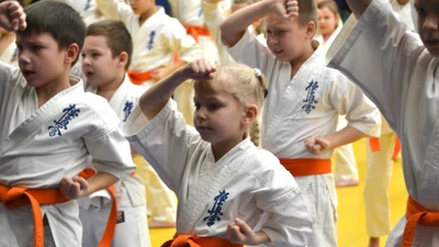 Клуб единоборств "Путь истины" каратэ и тхэквондо в Академическом