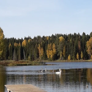 Кылдысин (Турбаза)