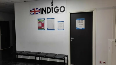 Индиго (Курсы иностранных языков )