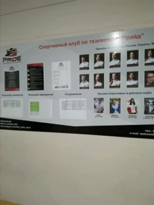 Спортивный клуб по тхэквондо Прайд (Спортивный клуб, секция)